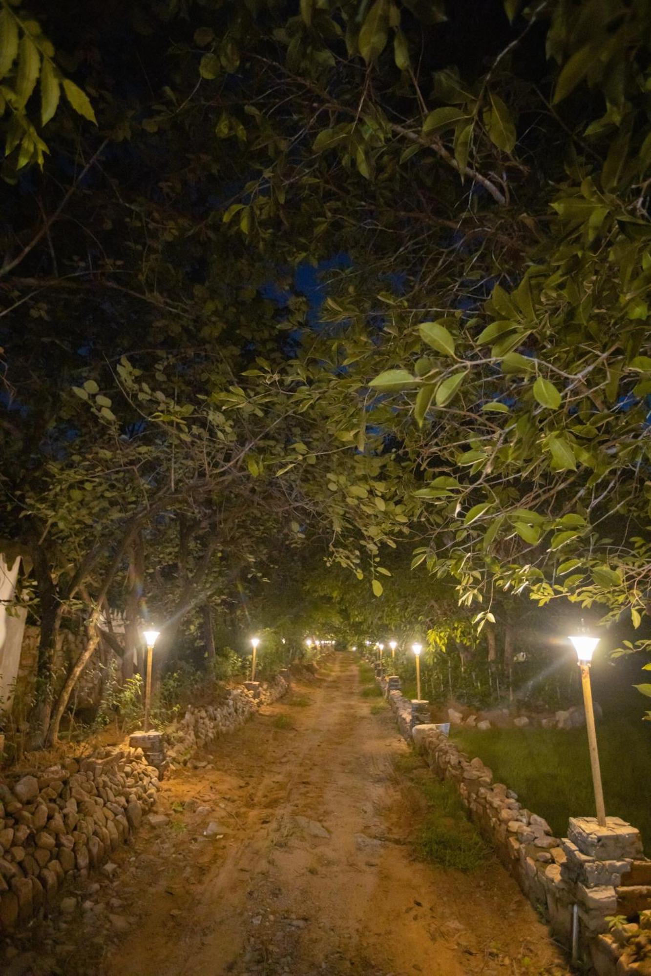 Nature Village Resort Pushkar Luaran gambar