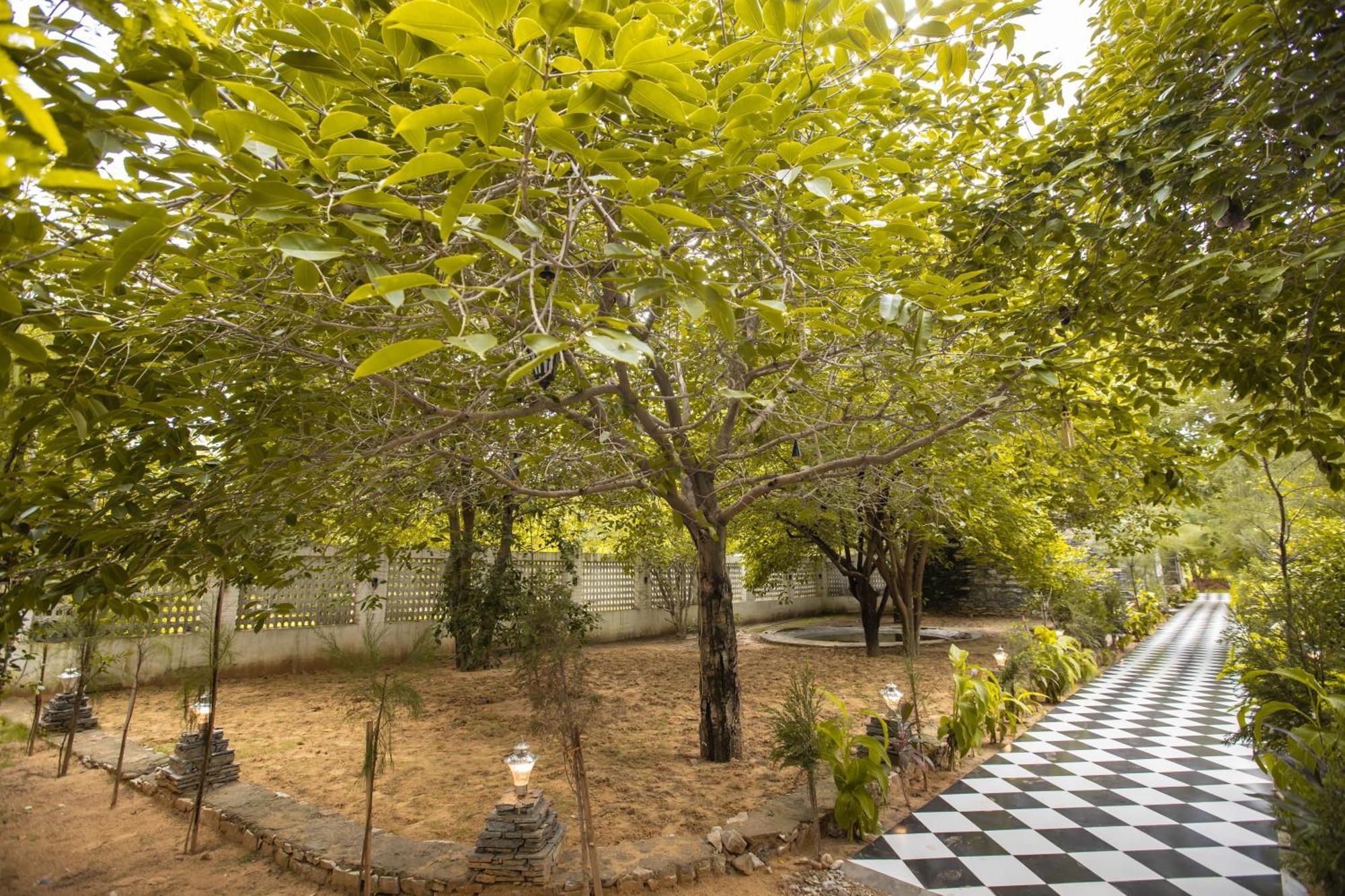 Nature Village Resort Pushkar Luaran gambar